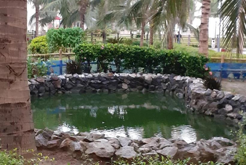 Wekare Sea Sight Service Apartments Puri Esterno foto